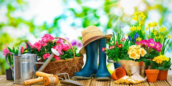 Home & Garden