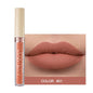 Matte Velvet 12-Color Lip Gloss Liquid Lipstick - Long-Lasting, Waterproof Lip Tint