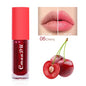 6 Color Fruit Flavor Color Change Lip Oil
