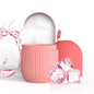 Face Beauty Massage Silicone Face Ice Cube Face Ice Cube Beauty Products Face Ice Massage Roller Capsule Face Ice Mold