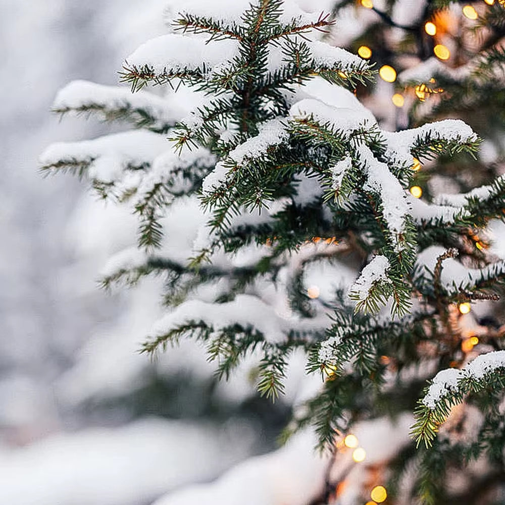 100G/50G Christmas Artificial Snowflake Powder Decoration Christmas Party Home Decor Fluffy Fake Snow Venue Supplies