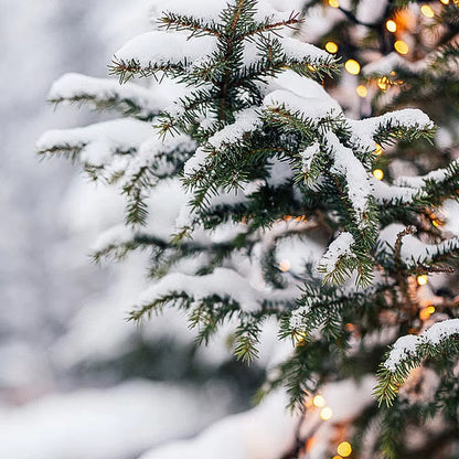 100G/50G Christmas Artificial Snowflake Powder Decoration Christmas Party Home Decor Fluffy Fake Snow Venue Supplies